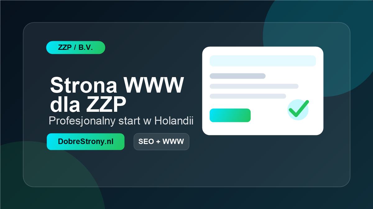 Strona WWW dla ZZP w Holandii - grafika artykulu